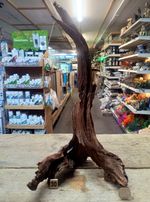 Med/Large Ancient Root  Wood Individual Pieces Scaper Aquarium Fish tank Bogwood