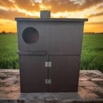 Little Owl Nest Box A Safe Haven Put Outside, With Landing Shelf. For Ever Home.