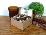 Large Fossil Box 80+ Trilobite Ammonite Shark Teeth Crinoids Sea Urchin Gift Box