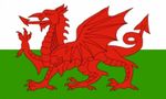 WALES Welsh Dragon FLAG 18" X 12" for boats treehouses caravans boat caravan