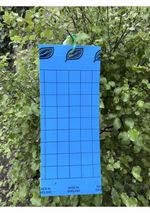 Blue Sticky Glue Board Insect Traps for Thrips 10x25cm (Small) - pack of 20