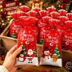 5 x Christmas Gift Bags Red Xmas Present Bags Festive Party Gift Packaging