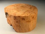 Burr Elm Wood Turning Bowl Blanks 8x4 inch 1.8 KG