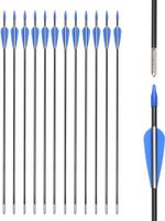 12/24PCS Fibreglass Archery Arrows 80CM Field Hunting  Target Broadhead Tool UK