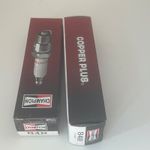 Two CHAMPION SPARK PLUG CJ8Y - also NGK BPM6A, Autolite 2976, and Bosch WS8F