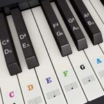 PIANO KEYBOARD NOTE LABELS REMOVABLE SILICONE PIANO STICKERS 61 KEYS REUSABLE UK
