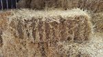 Barley Straw Full Bale, feed or bedding, weed & chemical free, Compact bale