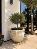 Large terracotta Beige Outdoor Patio Planter / Plant Pot with Handles Patio Use