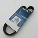 Fits Fiat Ducato Peugeot Boxer Citroen Relay Alternator Belt 2.8JTD-HDI (98-06)