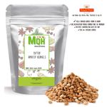 Bitter Raw Whole Apricot Kernels 100% Pure Premium Quality! 50g-2kg FREE P&P