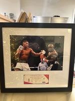 Anthony Joshua vs Kubrat Pulev Framed Ticket & Photograph 
