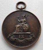 IX THE NORFOLK REGIMENT BEST SHOT 95 SQUAD PTE W SHEARER SCORE 93 MEDAL