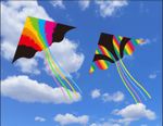 Single Line Rainbow Kite With Long Tail 140 x 70cm