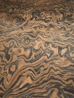 Ebono Root Wood Veneer Grain SaRaiFo Walnut Burr 250X32Cm