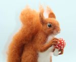 Needle Felting Kit " Solly The Red Squirrel " By Chicken Creations World Of Wool