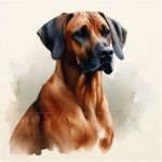 Rhodesian Ridgeback Watercolour ART PRINT DOG Love GIFT Christmas Present