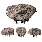 Sinosauropteryx Dinosaur Fossil Replica-130MYA Cretaceous Feathered Dinosaur Mod