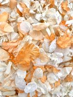 Orange Ivory Dried Natural Biodegradable Wedding Confetti. Real Flower Petals