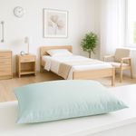 Waterproof  and Wipe Clean Pillow 