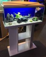 **BRAND NEW** LARGE Aquarium & Optional Stand: Heater, Filter & More Included