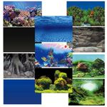 Superfish Deco Poster Aquarium Fish Tank Background Double-Sided Pictures