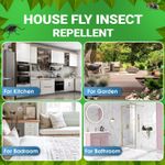 House Fly Repellent 100% Natural Essential Oils Lavender Lemongrass Eucalyptus