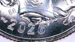 2026-P Emerging Liberty Dime Large Die Chip Error – Neck Area – BU?