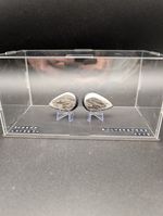 Race Worn Elbow Sliders Signed Eugene Laverty Silverstone 2015 Motogp Used 