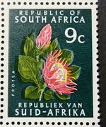 SOUTH AFRICA 1971 SG292 9c. PROTEA -  MNH