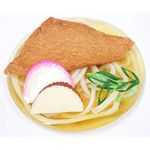 Japanese Fake Food Kitsune Udon noodle Highly Realistic Replica food Display JP