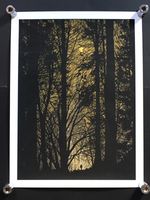 DAN MCCARTHY - Harvest Moon - RARE SIGNED art screen print 2010
