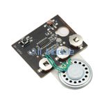 30s Greeting Card Recordable Voice Chip Music Box Sound Module DIY Musical NEW