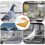 2 Pieces Pigeon Trap Door Entrance House Loft Door High Strength Bird Cage Door