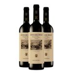 El Coto ‘Coto de Imaz’ Rioja Gran Reserva 3 x 75cl | Smooth, Complex Spanish Red