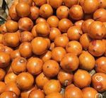 Agbalumo contonu (Udara) 10pcs 