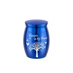 Small Cremation Urn Jar Holder Keepsake for Human Pet Ashes Memorial Funeral Box