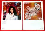 Bjork Post Album Cover Art PICTURE / PRINT 2 x 7.5" x 5.5" The Sugarcubes