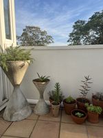 Extra Large Willy Guhl Diablo Planter (+ smaller one free of charge)