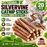 20PCS Natural Silvervine Catnip Sticks Dental Chew Teeth Cleaning Cat Toy