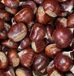 2kg Fresh Whole Chestnuts