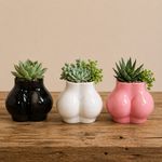 Ceramic Bum Body Art Ass Succulent Plant Pots Small Desktop Planters Home Gift