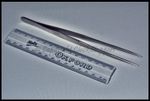 Long Stainless Steel Tweezers Smooth Tip Clockmakers Hobby Tools 7" - 18 Cm Long