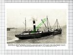 WEXFORDIAN Wexford Steamships Co Steamer Ship  - 1930s Cutting