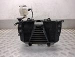 2020 BMW G 310 R S G 310 R RADIATOR