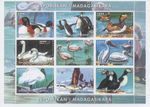 Bird Duck Penguin Swan Pelican 2000 MNH stamp sheetlet