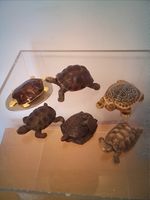 Tortoise Collectable Figures X 6 Inc  Schleich,Mojo,Prior Castings,❤️CHARITY 
