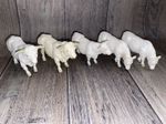 Britains Charolais Cattle Vintage- England 1979- White