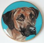 Rhodesian Ridgeback Dog Original Art Brooch Pin