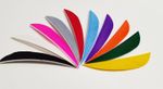 Gateway Archery 3" RW Parabolic Feathers x 12 (1 Dozen)