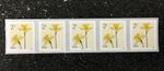 2024USA #5903 2c Daffodils - Plate Number Coil Strip of 5 - PNC Mint flowers